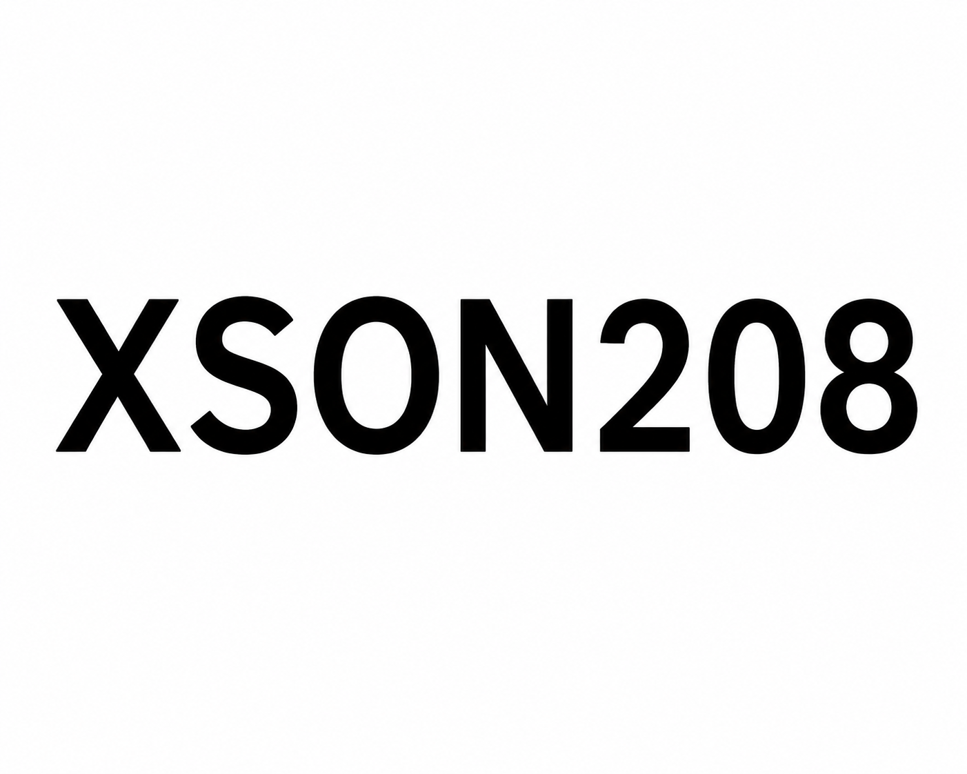 What Is XSON208? A Complete Business Guide